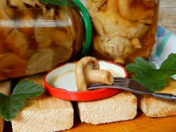 название картинки Волнушки соленые на зиму