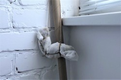 Вяленая свинина в домашних условиях - шаг 8