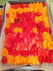 название картинки Вяленые помидоры JUST