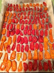 название картинки Вяленые помидоры JUST