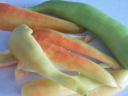 название картинки Хашлама из говядины с болгарским перцем и картошкой