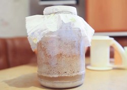 Хмелевая закваска для кваса и выпечки - шаг 9 Хмелевая закваска для кваса и выпечки - шаг 9