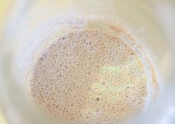 Хмелевая закваска для кваса и выпечки - шаг 10 Хмелевая закваска для кваса и выпечки - шаг 10