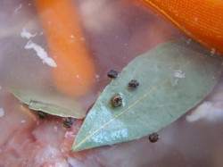 Холодец из курицы в мультиварке