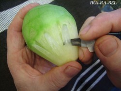 Хохлатка (курочка из картофельного пюре) с цыплятами