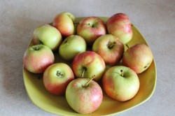 Яблочный мармелад из яблок с агар-агаром в домашних условиях