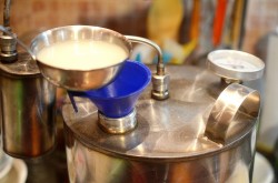 Самогон из яблок в домашних условиях