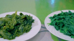 название картинки Заготовка и замораживание овощей с зеленью на зиму