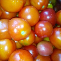 название картинки Заготовка томатный сок на зиму