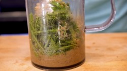 название картинки Закуска из баклажанов по-грузински