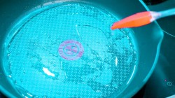 Закуска из обжаренных в сырном кляре томатов с зеленью