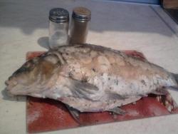 название картинки Карп фаршированный запеченный в духовке