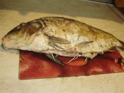 название картинки Карп фаршированный запеченный в духовке