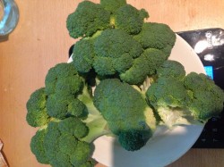 название картинки Запеканка из брокколи с грибами