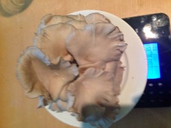 название картинки Запеканка из брокколи с грибами