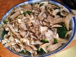 название картинки Запеканка из брокколи с грибами