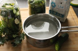 название картинки Соленые огурцы на зиму холодным способом в банках