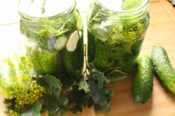 название картинки Соленые огурцы на зиму холодным способом в банках