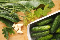 название картинки Соленые огурцы на зиму холодным способом в банках