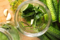 название картинки Соленые огурцы на зиму холодным способом в банках