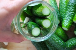 название картинки Соленые огурцы на зиму холодным способом в банках