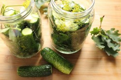 название картинки Соленые огурцы на зиму холодным способом в банках