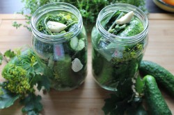 название картинки Соленые огурцы на зиму холодным способом в банках