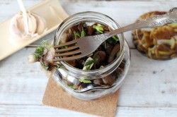 название картинки Засолка опят