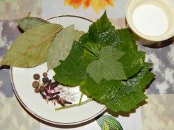 название картинки Засолка рыжики на зиму холодный способ