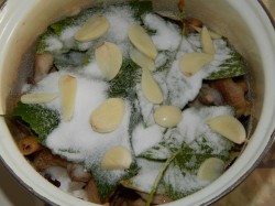 название картинки Засолка рыжики на зиму холодный способ