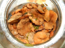 название картинки Засолка рыжики на зиму холодный способ