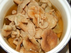 Засолка волнушек холодным способом на зиму