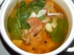 Засолка волнушек холодным способом на зиму