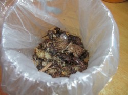 название картинки Зельц из свиной головы по-украински