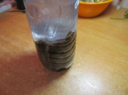 название картинки Зельц из свиной головы по-украински