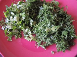 Зеленый суп щавелевый на свинине с яйцами