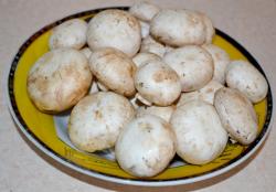 Жареные шампиньоны с зеленью на сковороде