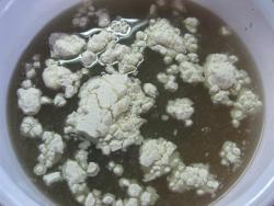 Жульен Парижский шик