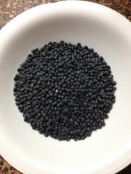 Проращивание зёрен чечевицы - шаг 2