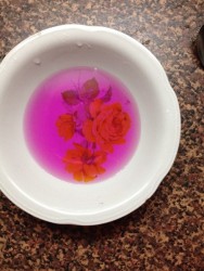 Проращивание зёрен чечевицы - шаг 4