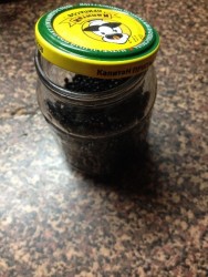 Проращивание зёрен чечевицы - шаг 8