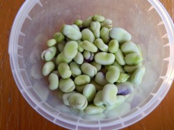 Бобы на зиму - шаг 2