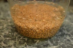 Брага на пшенице без дрожжей - шаг 4