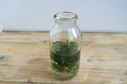 Домашний ликер мятный - шаг 2 Домашний ликер мятный - шаг 2