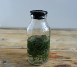 Домашний ликер мятный - шаг 3 Домашний ликер мятный - шаг 3