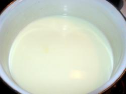 Домашний плавленный сыр из творога - шаг 1