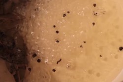 Гогошары на зиму маринованные - шаг 6 Гогошары на зиму маринованные - шаг 6