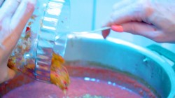 Грузинский соус Ткемали из слив с чесноком и специям на зиму - шаг 8 Грузинский соус Ткемали из слив с чесноком и специям на зиму - шаг 8