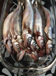 Жареная корюшка - шаг 3