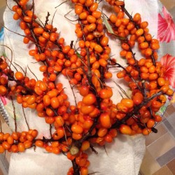 Желейное варенье из облепихи - шаг 1 Желейное варенье из облепихи - шаг 1